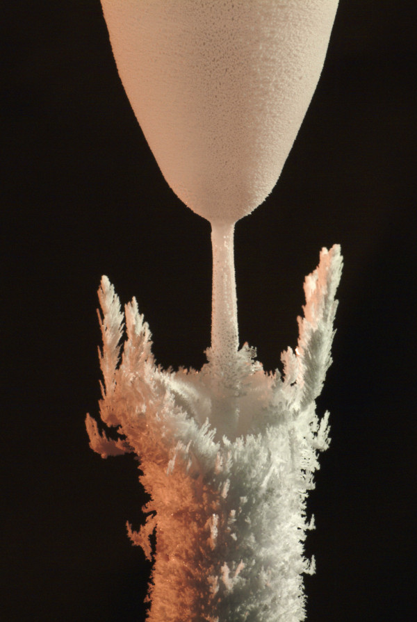 Crystalline purity